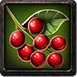 Berries