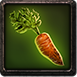 Carrots