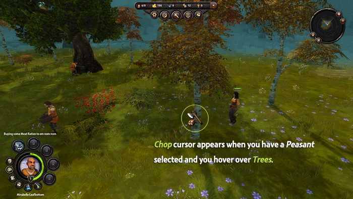 Chopping Trees