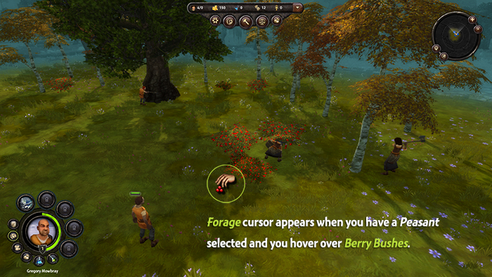 Foraging
